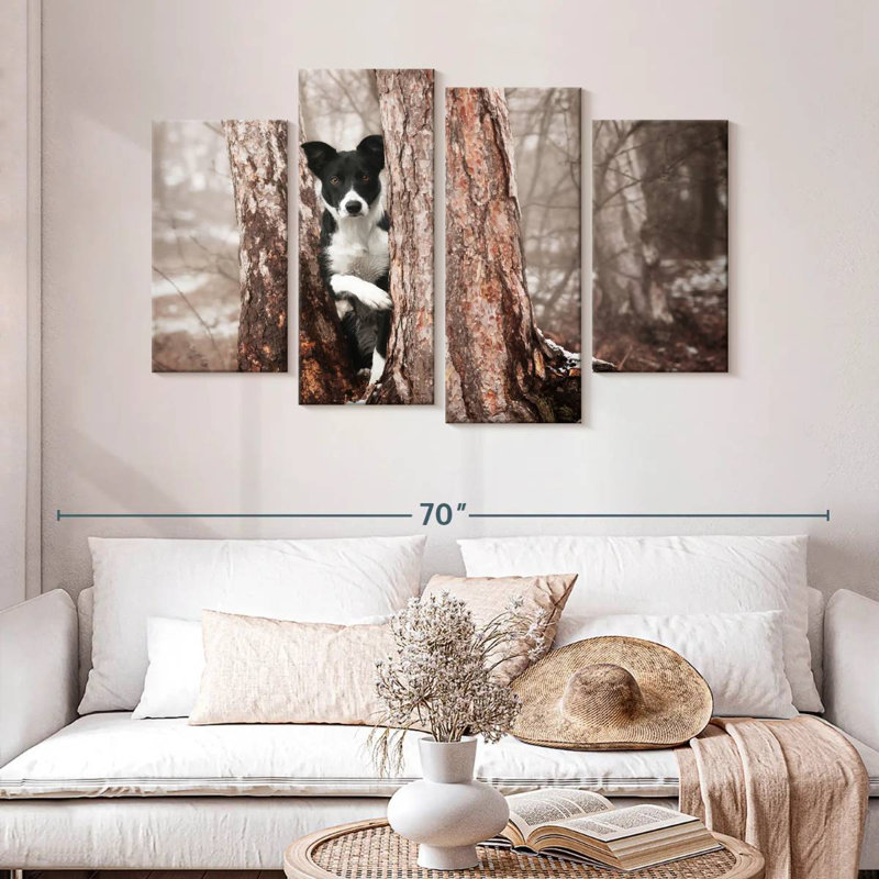 Border collie Brampt, H 32 po x l 52 po