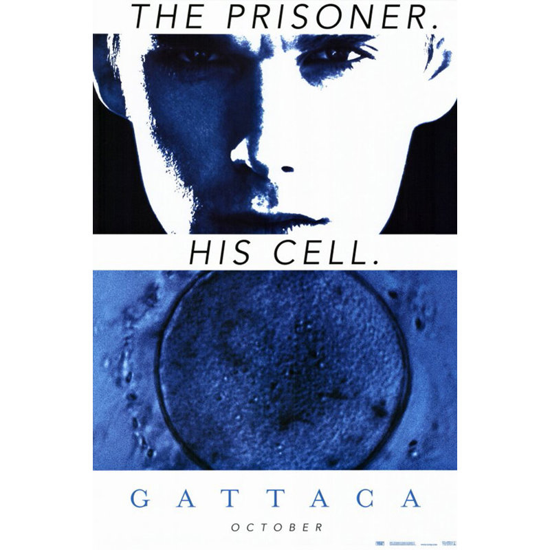 Gattaca, H 18 po x l 12 po