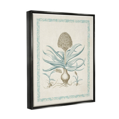 Étude de botanique latino-américaine, art giclée par Vision Studio