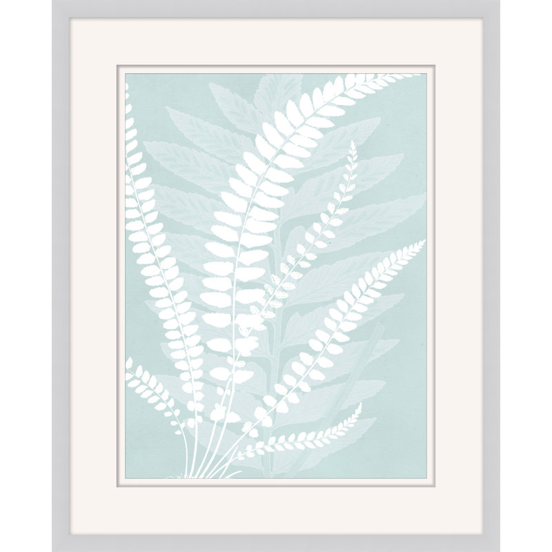 Delicate Fern Assimilation 2 Print