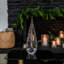 Ice Laden Evergreen-790681582
