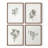 Vintage Floral Print CCI  Framed Print - Set of 4-870080-870095