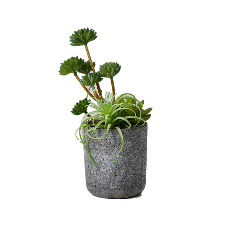 9'' Faux Succulent Plant in Cement Pot