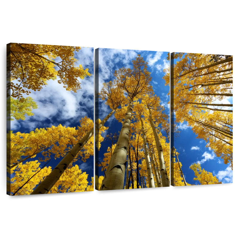 Harnek Gold Leafed Aspens, 28" H x 45" W