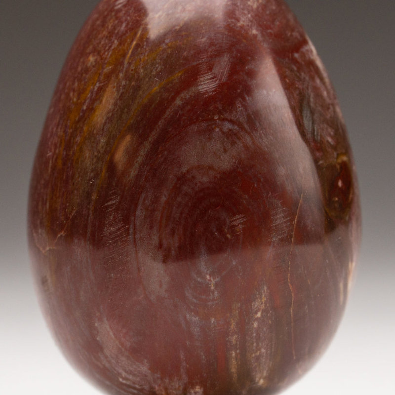 Petrified Wood Egg, Yellow/Brown, 3" H x 2" W x 2" D