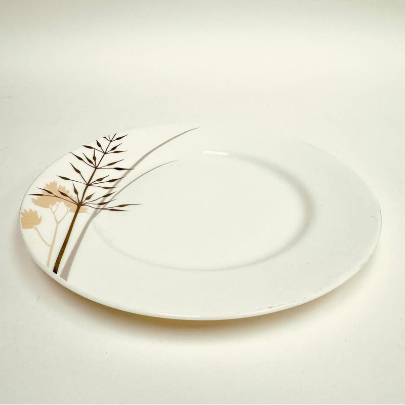 Ensemble de 4 assiettes décoratives à motif de plantes en os 10,75 po Victoria Bella
