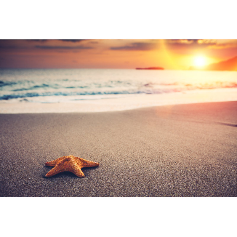 Starfish on the beach, 51cm H x 76cm W