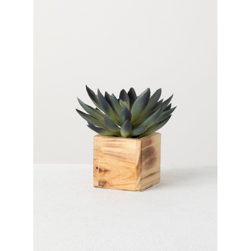 Plante grasse artificielle en pot 2 po