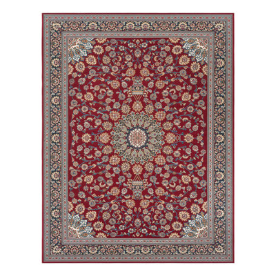 Indoor/Outdoor Traditional Area Rug