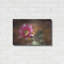 «Vibrant Cactus Flower» par Lori Deiter-1677350357
