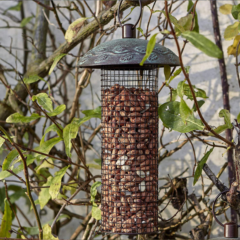Bocephus Tube Bird Feeder