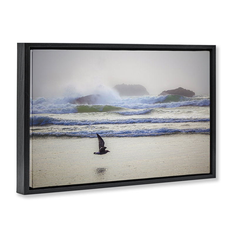«Flying Low over Shore Floater» par Marty Hulsebos, Cadre flottant noir de jais, H 21 po x l 31 po