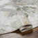 Pyburn Abstract Green Area Rug