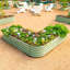 Shaped Metal Outdoor Raised Garden Bed-100311304-100311307