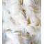 Jadis Fabric