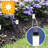 Solar Powered Pathway Light