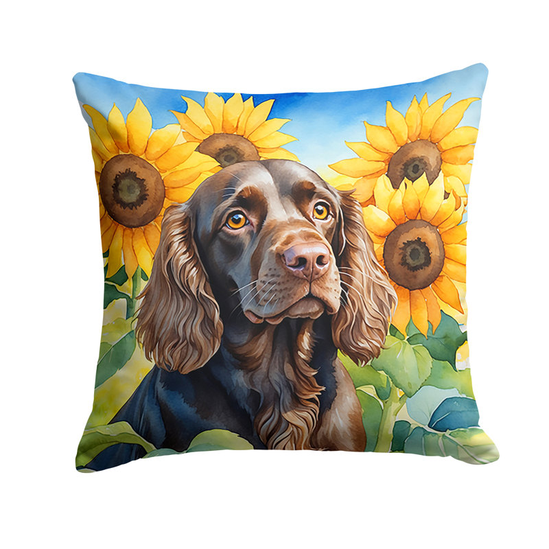 Other/No Pattern Indoor/Outdoor Throw Pillow, 14"H x 14"W