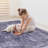 Judithanne Rug