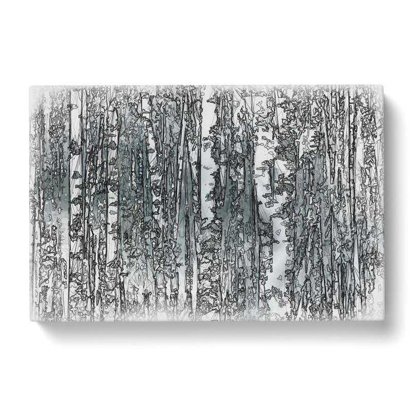 A Birch Tree Forest Sketch - Wrapped Canvas, 40cm H x 60cm W x 3cm D