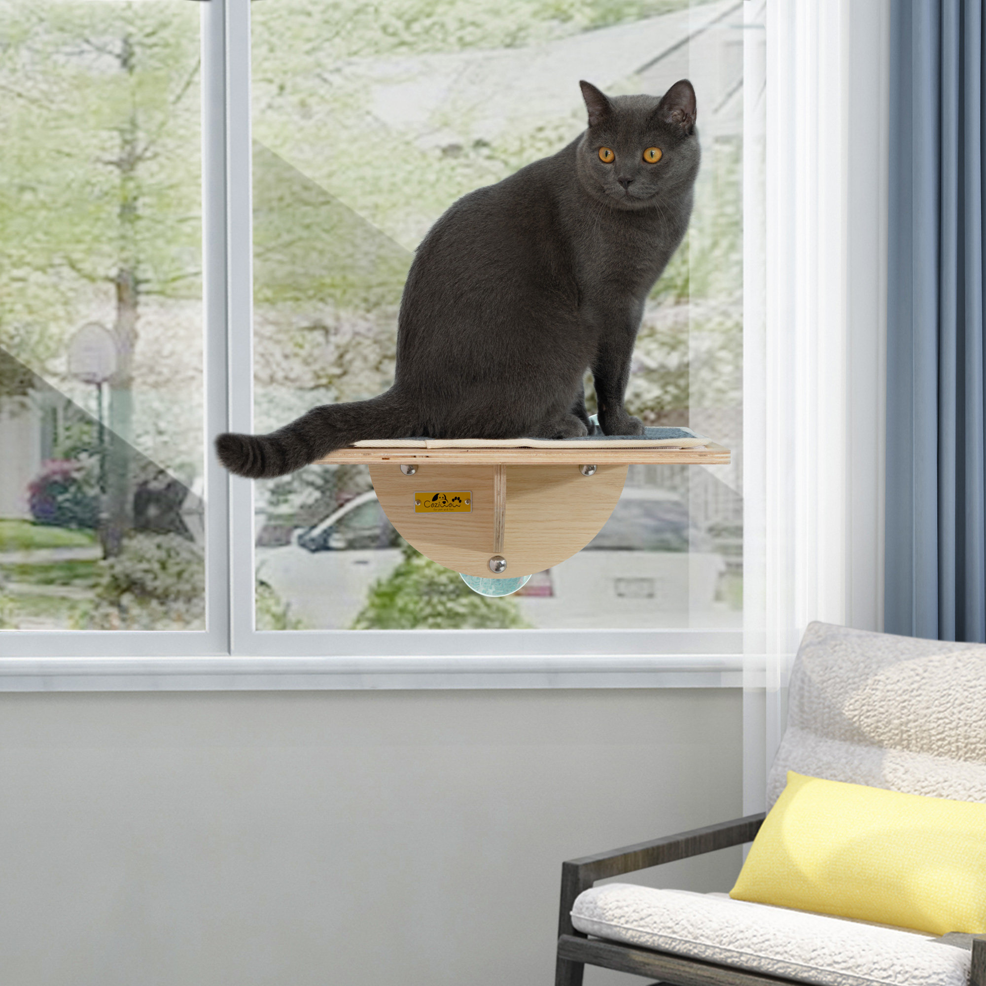 Tucker Murphy Pet Ceili Cat Perch Seat 2 Install Ways Suction Cups