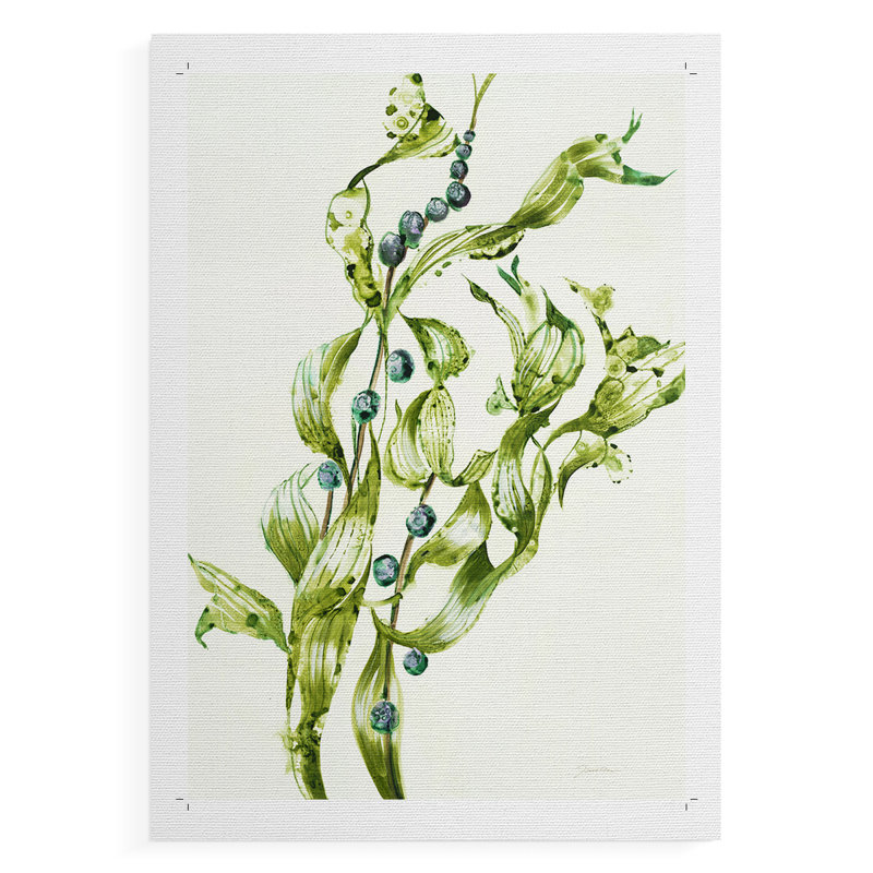 Raisins de mer - impression sur toile seulement - non encadrée, H 60 po x l 40 po