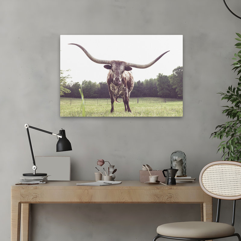 Longhorn à la campagne / campagne dernier appel, H 24 po x l 16 po