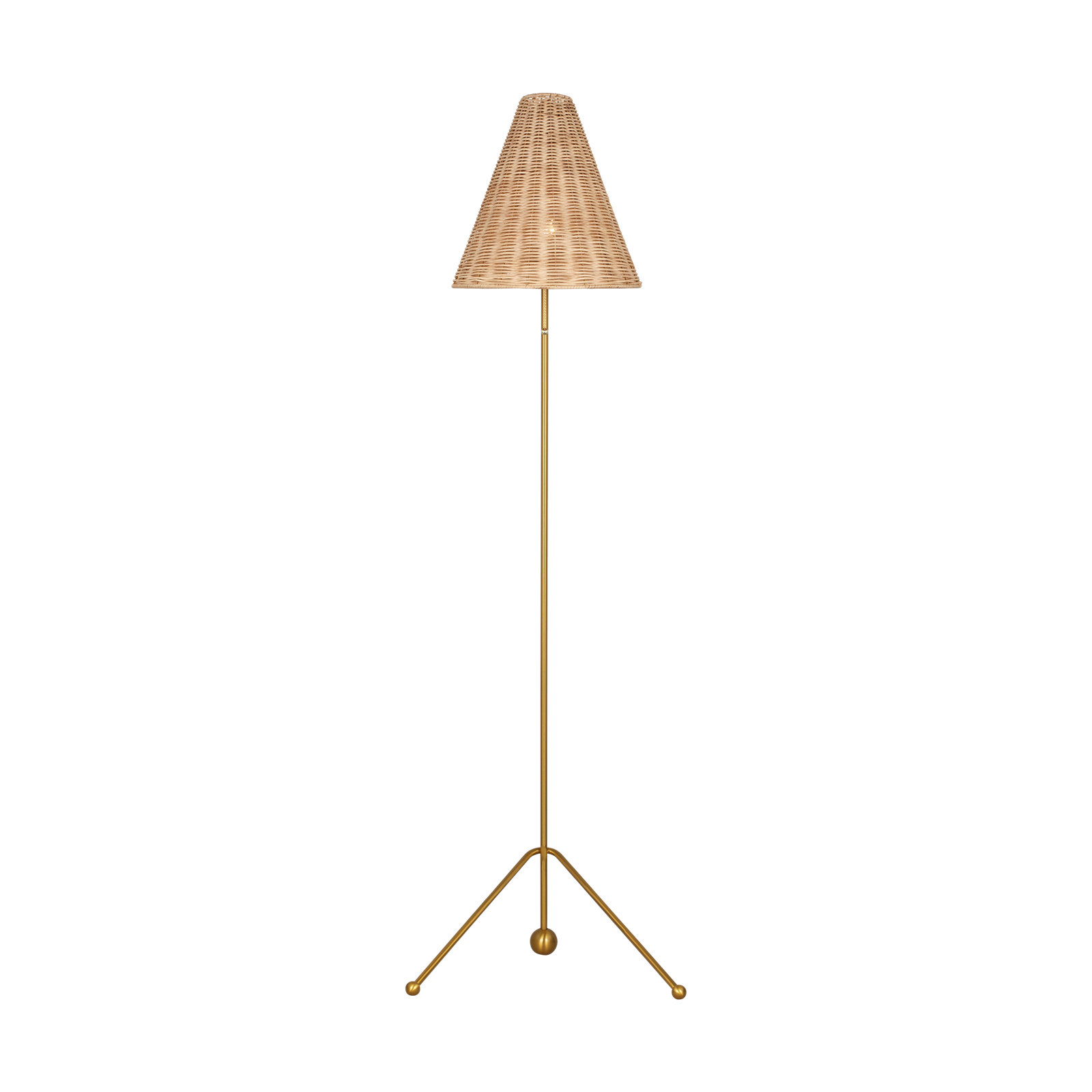 58.63'' Steel Floor Lamp, Brown