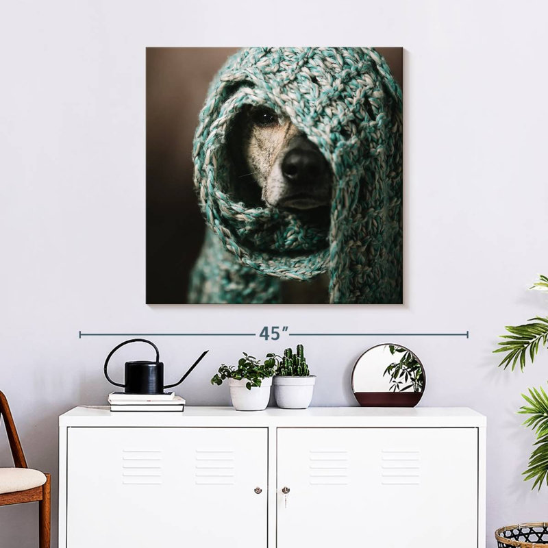 Chien enveloppé Brampt, H 30 po x l 30 po