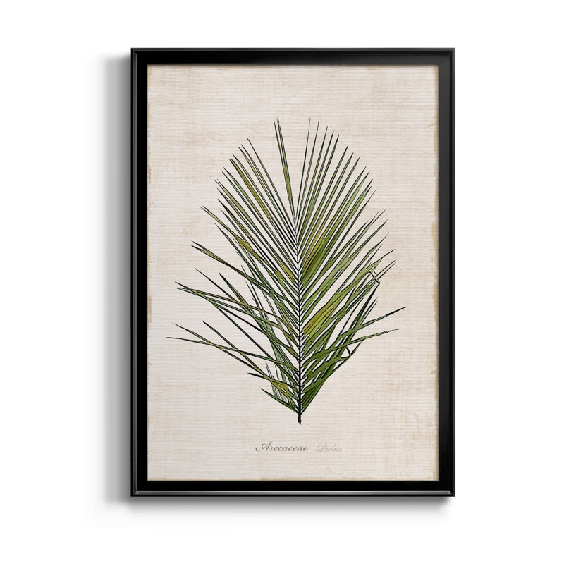 Palmier botanique I - impression, H 30,5 po x l 42,5 po x P 1,5 po, Noir