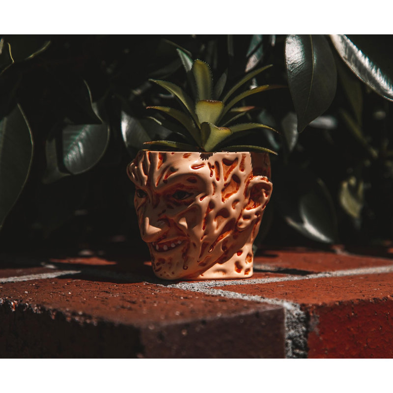 Plante grasse artificielle 6,5 "en pot