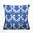 Bleuet des champs