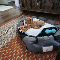 Waterproof Orthopedic Bolster Dog Bed BingoPaw Size: Large (35.4 W x 27.5 D x 7.4 H)