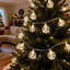 String Light-1775304333