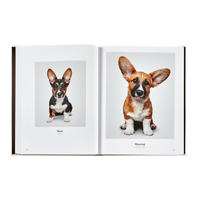 Graphic Image Good Dog Coffee Table Book, Leather, Ivory