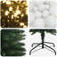 Christmas Tree-221824722-221824726