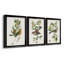 Oiseau antique, botanique et œuf I - ensemble de 3 peintures sur toile encadrées-1128397841-1128397842