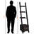 Himanshu Bookcase with 3 Ladder Shelves & 2 Drawers in Brown Finish, 68.78" H X 16.37" W X 17.09" D