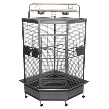 Tucker Murphy Pet™ Chiani 66'' Iron Play Top Floor Bird Cage with