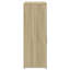 Oshyn 2 -Door Accent Cabinet-1738992783