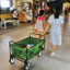 Chariot de plage pliant Wagon Garden (vert)