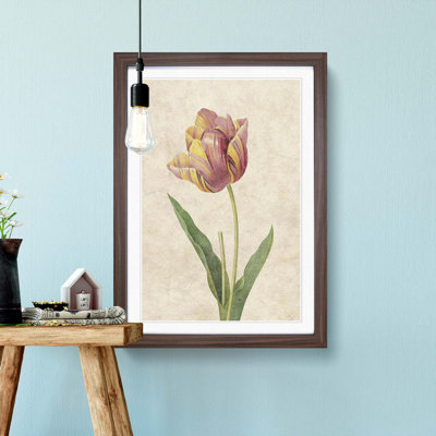 Pink Tulip by Pierre-Joseph Redoute - Picture Frame Painting Print