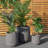 Megaira Concrete Pot Planter