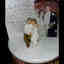 Customer photo 2 of 3