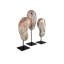 Ceramic 3 Piece Glazed Masks Bust Set