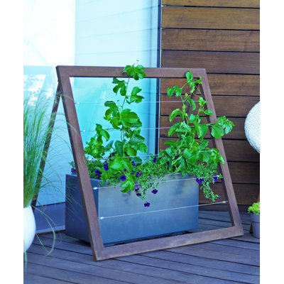Kestwick 36'' H x 36'' W Steel Folding Trellis