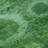 Machine Washable Indoor/Outdoor Xhevrie Emerald Rug-1975090118
