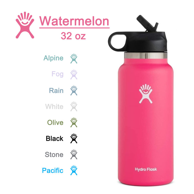 Hydro Flask 32OZ Wide Mouth 2.0 Water Bottle, Straw Lid, Multiple Colors -  Alpine, New Design 