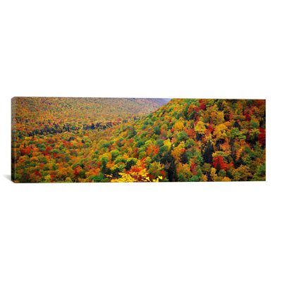" Mountain Forest In AutumnNova Scotia, Canada " by Panoramic Images