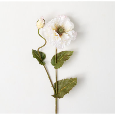 Mcnulty Double Poppy Arrangement