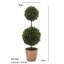 24" Artificial Boxwood Plant in Topiary Pot